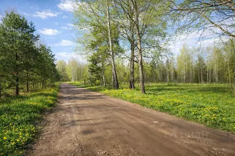 Участок в Псковская область, Псковский район, Ядровская волость, д. ...