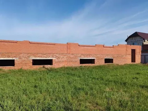 Участок в Оренбургская область, Бузулукский район, Новоалександровский ...