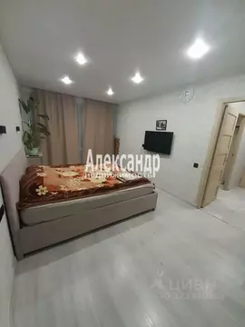 2-к кв. Санкт-Петербург просп. Космонавтов, 60 (42.0 м)