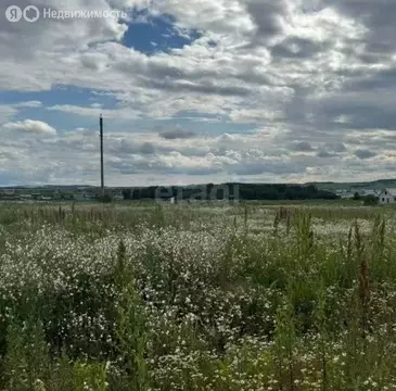 Участок в Пермский муниципальный округ, деревня Болдино, Ореховая ...