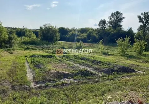 Участок в Белгородская область, Белгородский район, с. Стрелецкое ...