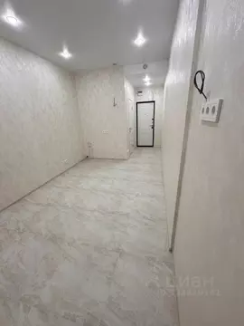 Помещение свободного назначения в Краснодарский край, Анапа ул. ...