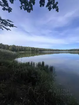 Участок в Калининградская область, Зеленоградский муниципальный округ, ...