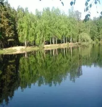 Квартира, 2 комнаты, 45 м