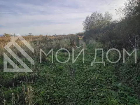 Участок в Сахалинская область, Долинск Южный пер. (14.0 сот.)