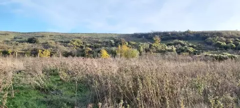 Участок в Крым, Кировский район, Первомайское с/пос, с. Изюмовка ул. ...