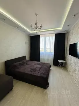 1-к кв. Московская область, Пушкино Заветы Ильича мкр, ул. Степана ...