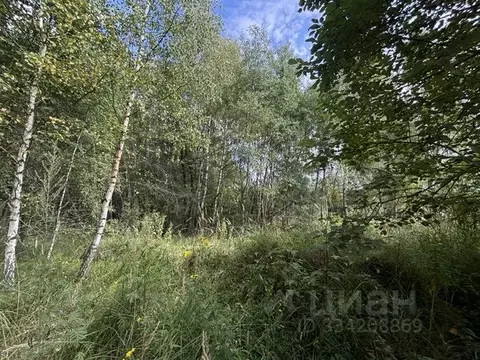 Участок в Московская область, Воскресенск городской округ, Хорлово пгт ...