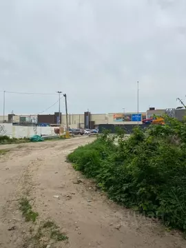 Участок в Брянская область, Брянск СО Ласточка тер.,  (5.0 сот.)