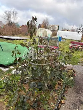 Коттедж в Пермский край, Лысьва № 3 КС, 17 (300 м)