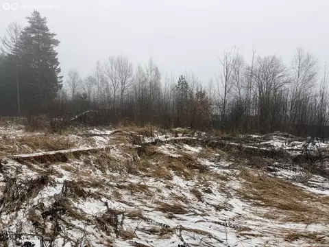 Участок в Владимирская область, Александровский муниципальный округ, ...