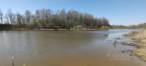 Участок в Смоленская область, Починковский муниципальный округ, д. ...