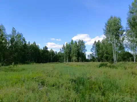 Продается участок в д. Тимково