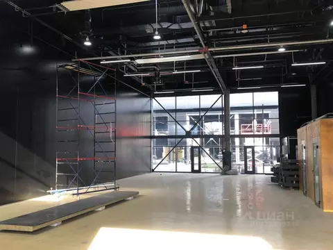 Помещение свободного назначения в Санкт-Петербург просп. Зотовский, ...