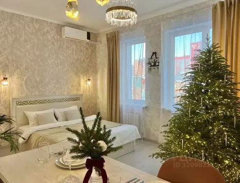 Студия Башкортостан, Уфа ул. Аксакова, 81 (31.0 м)