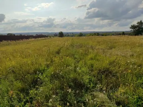 Участок в Воронежская область, Рамонский район, с. Новоживотинное ул. ...