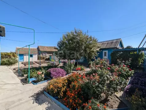 Дом в Волгоградская область, Иловлинский район, Трехостровская ст-ца ...