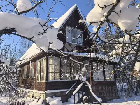 Дом в Ленинградская область, Лужский район, Мшинское с/пос, Мшинская ...