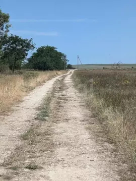 Участок в Крым, Черноморский район, с. Окуневка  (348.05 сот.)