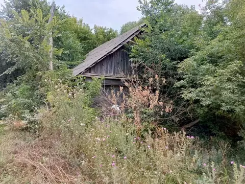 Склад в Саратовская область, Петровский район, Березовское ...
