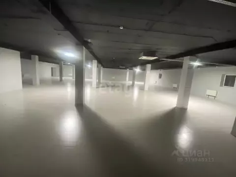 Помещение свободного назначения в Ставропольский край, с. Кочубеевское ...