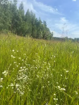 Участок в Мельниковское сельское поселение (2.8 м)