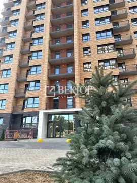 Студия Ярославская область, Ярославль Чернопрудная ул., 12 (24.07 м)