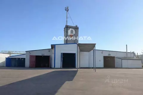 Помещение свободного назначения в Санкт-Петербург дор. На Турухтанные ...