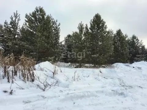 Участок в Свердловская область, Нижний Тагил Ольховская ул. (10.3 ...