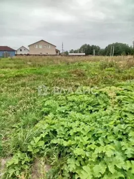 Участок в Ленинградская область, Всеволожский район, Лесколовское ...