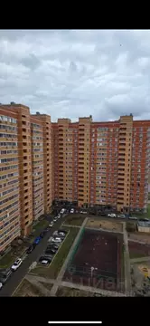 Студия Московская область, Балашиха Новое Павлино мкр, ул. Троицкая, 4 ...