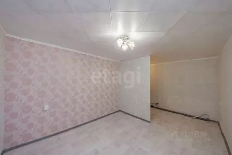 Комната Тюменская область, Тюмень Олимпийская ул., 15 (17.6 м)