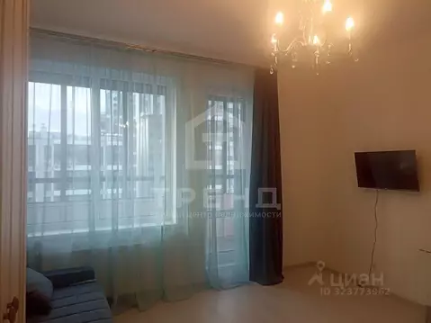 Студия Санкт-Петербург аллея Арцеуловская, 19 (24.2 м)