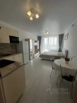 Студия Санкт-Петербург ш. Суздальское, 20к4 (31.0 м)