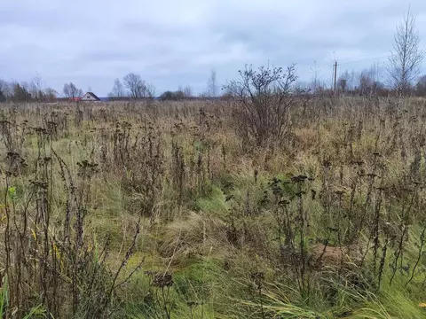 Участок в Московская область, Раменский муниципальный округ, д. ...