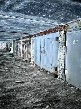Гараж в Воронежская область, Воронеж ул. Любы Шевцовой, 34 (20 м)