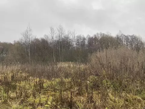 Участок в Московская область, Луховицы Молодежный мкр, ул. Малахитовая ...