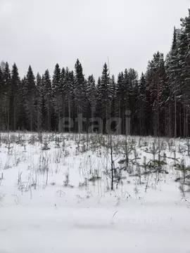 Участок в Коми, Корткеросский муниципальный район, Корткерос ...