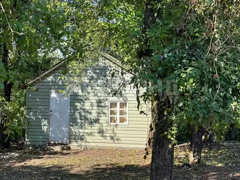 Дом в Брянская область, Брянск  (18 м)