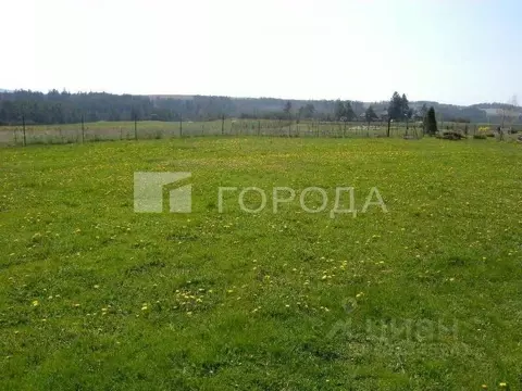 Участок в Кемеровская область, Новокузнецкий муниципальный округ, с. ...