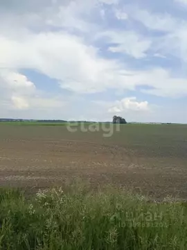 Участок в Брянская область, Брянский район, Добрунское с/пос, с. ...