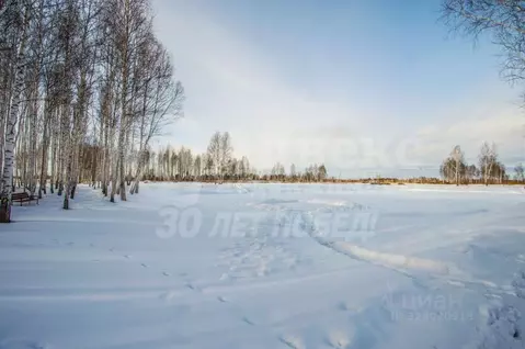 Участок в Тюменская область, Нижнетавдинский муниципальный округ, ...