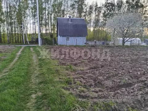 Участок в Брянская область, Брянский район, Мичуринское с/пос, Заря ...