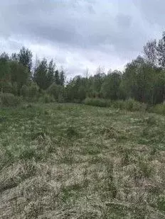 Участок в Псковская область, Псковский район, Краснопрудская волость, ...