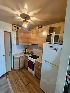 Студия Приморский край, Владивосток ул. Калинина, 49А (24.0 м)