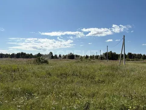 Участок в Тюменская область, Тюменский район, с. Аманадское  (4.0 ...