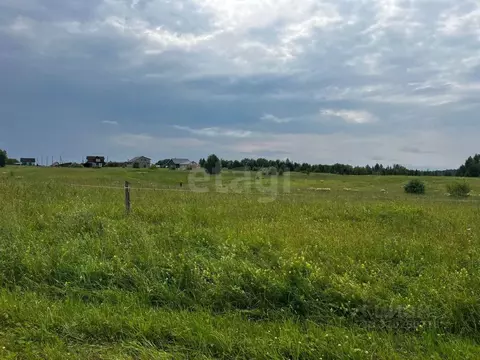 Участок в Вологодская область, Кирилловский муниципальный округ, с. ...