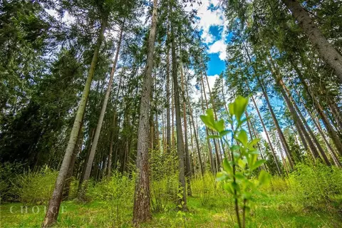 Участок в Московская область, Одинцовский городской округ, д. Дарьино  ...
