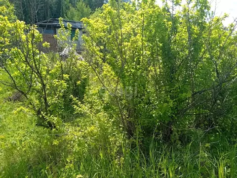 Участок в Свердловская область, Нижний Тагил  (10.4 сот.)