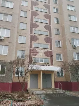 1-к кв. Челябинская область, Челябинск Новосельская ул., 25 (33.1 м)